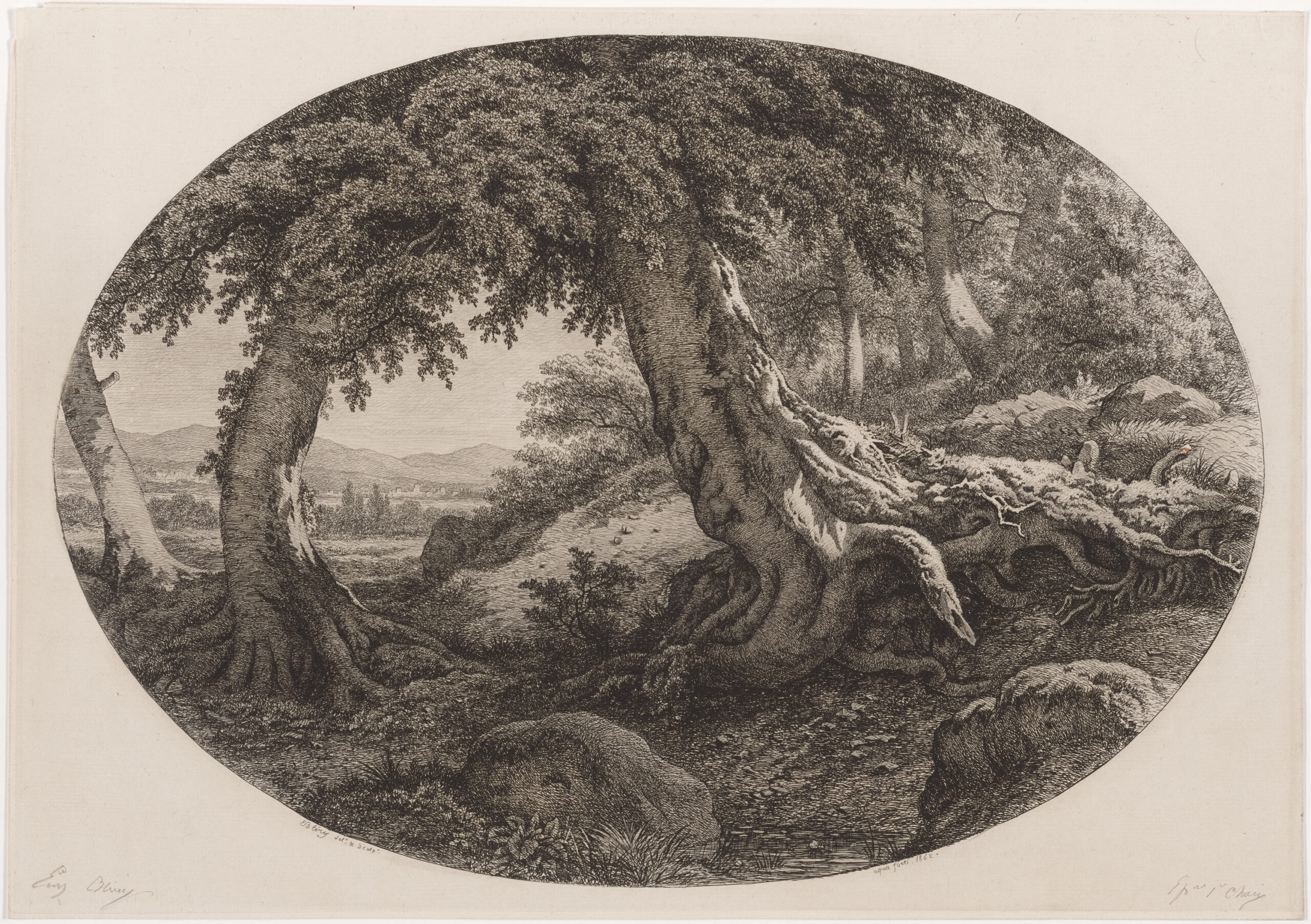 BMA Opens Deconstructing Nature: Environmental Transformation in the Lucas Collection in August
