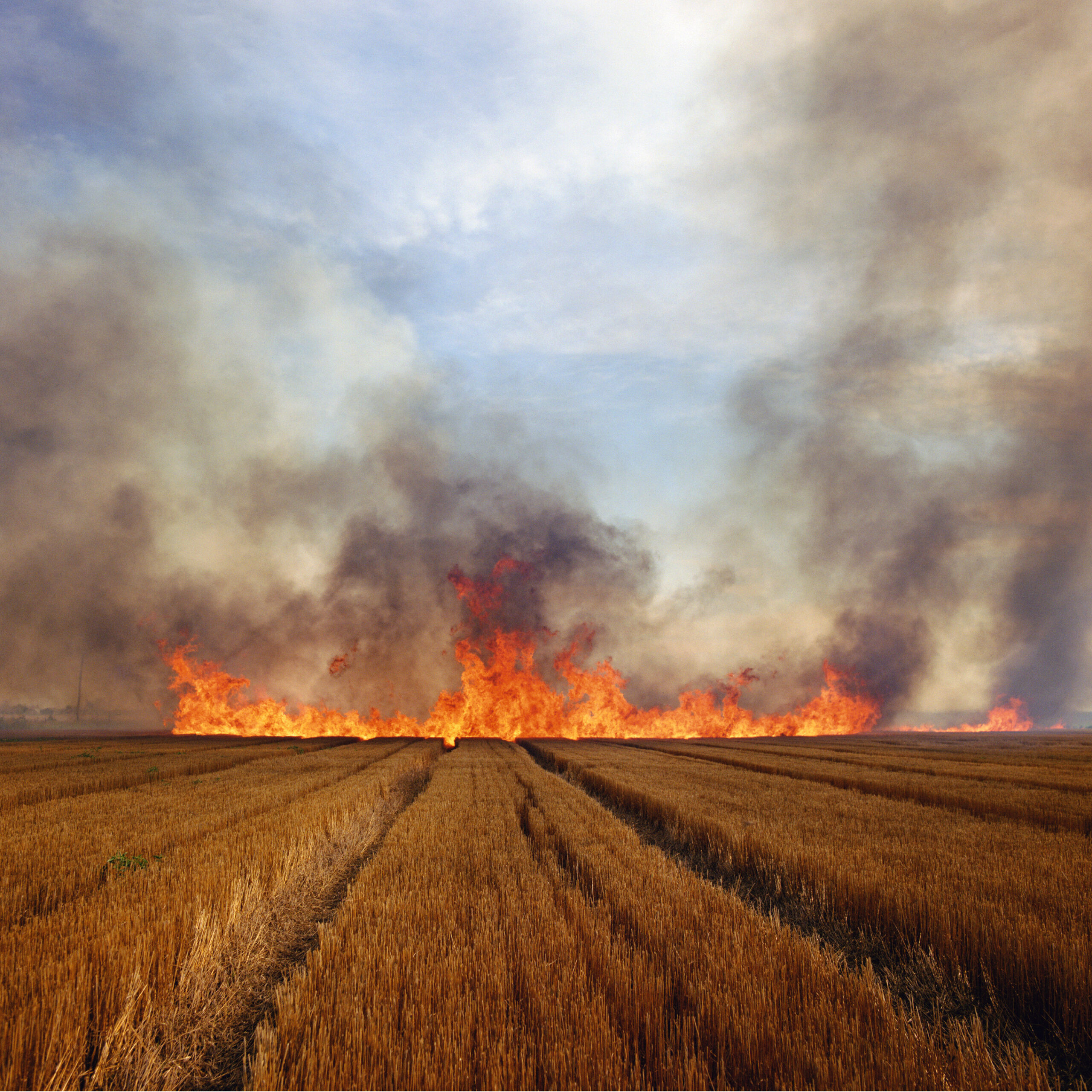 BMA Opens Engaging the Elements: Poetry in Nature in September